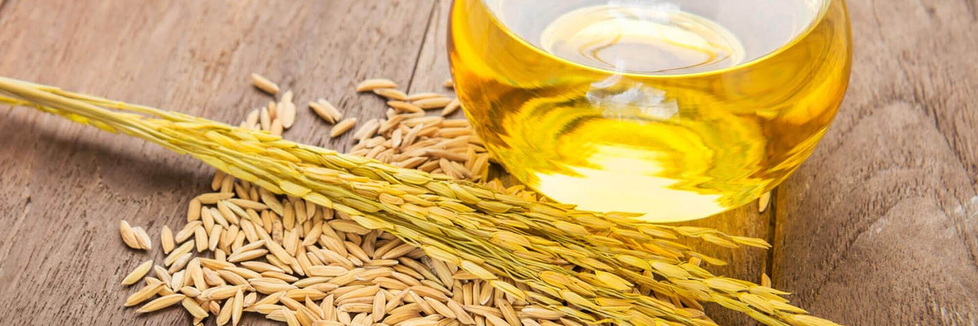 oil_banner.jpg oil_banner.jpg